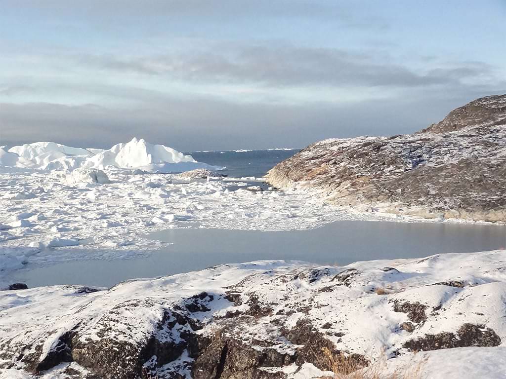 DSC05949bæredygtig DSC05949bæredygtig