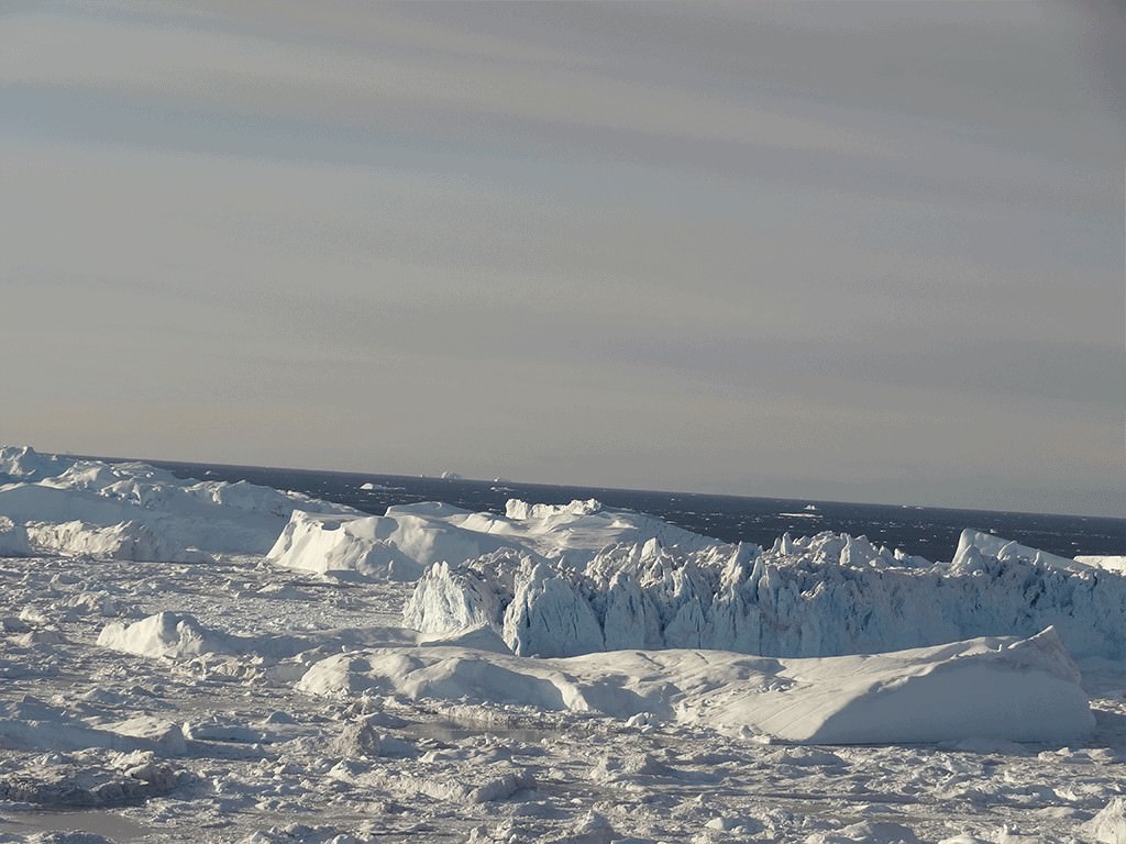 DSC05980bæredygtig DSC05980bæredygtig