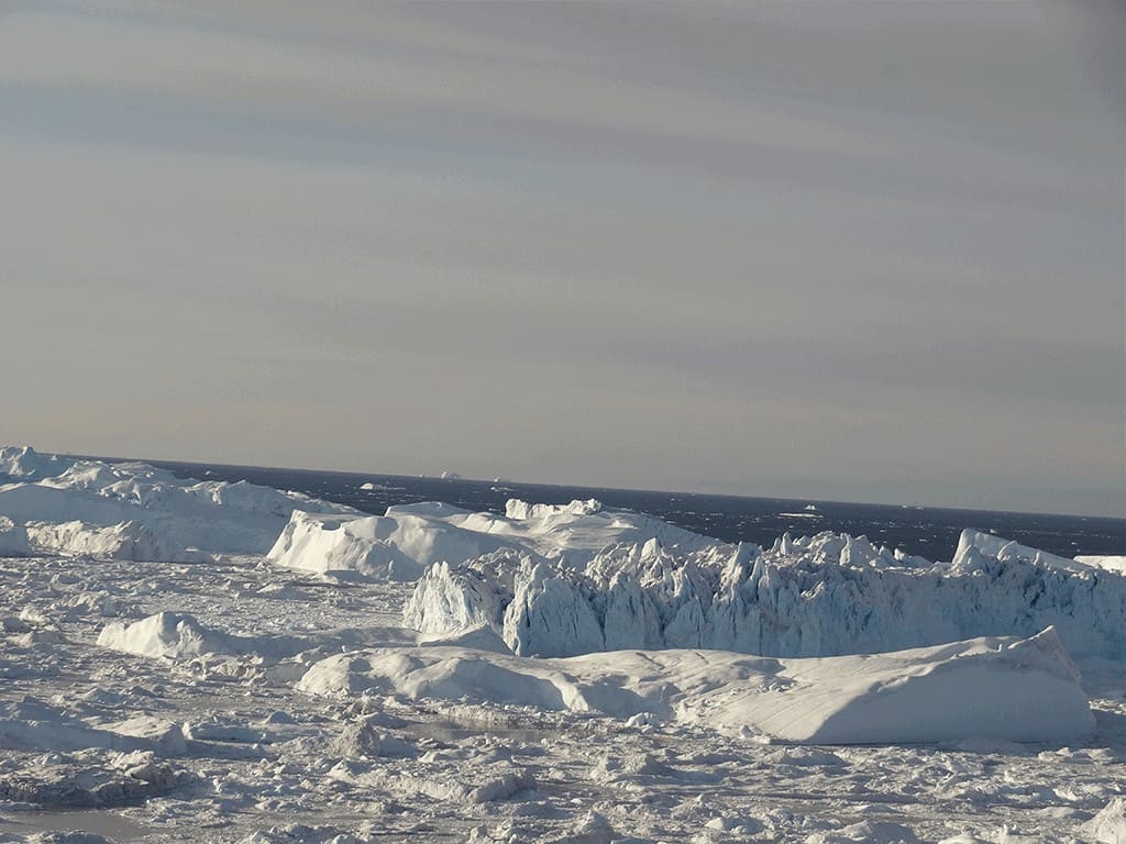 DSC05980bæredygtig DSC05980bæredygtig